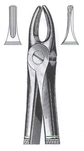 Upper Incisors & Canines DC-050-003