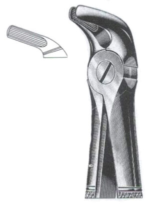 Lower Primolars DC-050-006