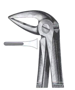 Lower Roots With Long Beak DC-050-025