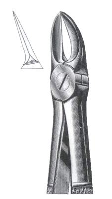 Separating Upper Molars Roots DC-050-034