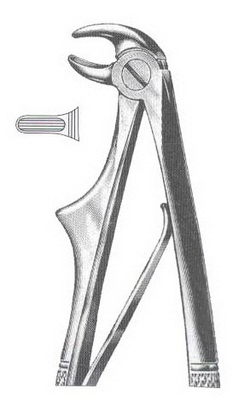 Lower incisors DC-050-086