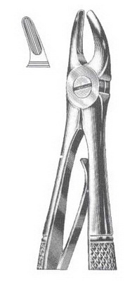 Upper premolars DC-050-090