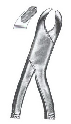 Lower Molars DC-050-097