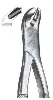 Lower molars DC-050-100