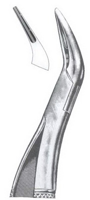 Tooth Extracting Forceps American Pattern DC-050-109