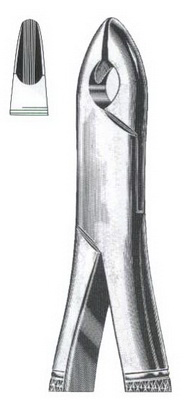 Tooth Extracting Forceps American Pattern DC-050-112